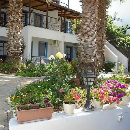 Gloriatibi Jarra 2* غومْبيت