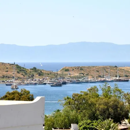 Gloriatibi Jarra 2* غومْبيت