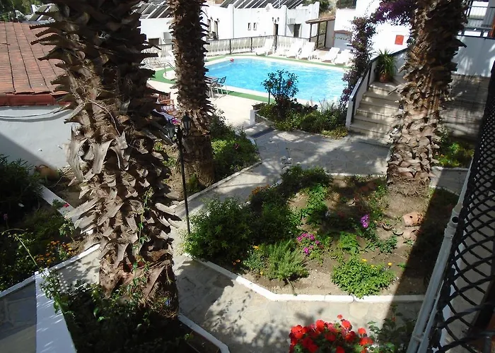 Gloriatibi Jarra Гумбет