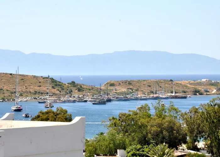 Gloriatibi Jarra 2* Гумбет