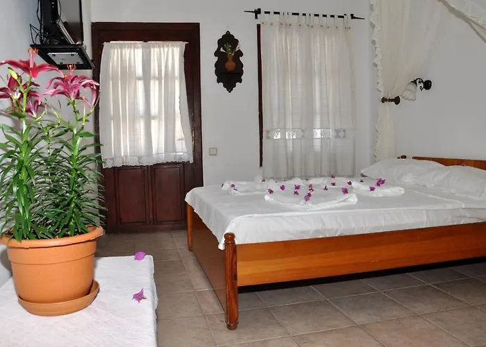 Gloriatibi Jarra Gümbet