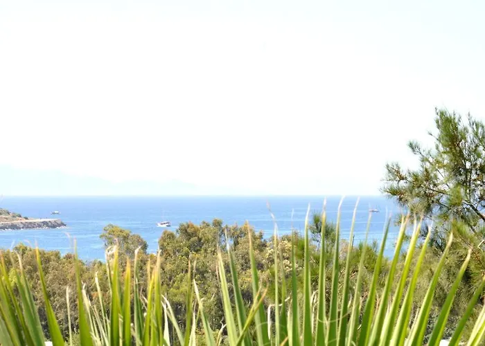 Otel Gloriatibi Jarra